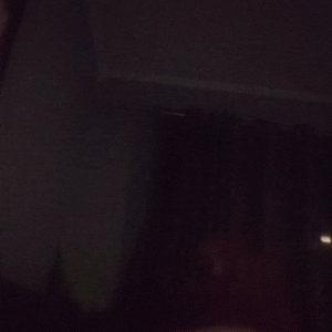 video_2026-06-04_13-42-10.gif